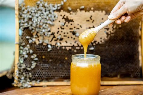 Ancient Remedies: Traditional Uses of Bee Products in Medicine